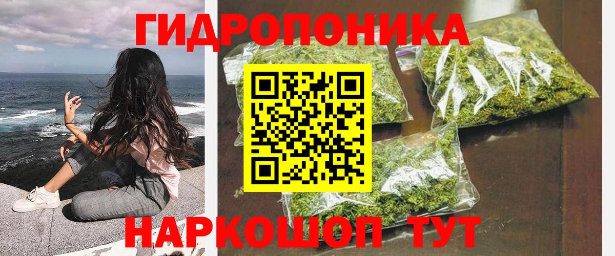 Каннабис тримм  Вход с VPN  Конопля сатива  Кимовск  Бошки Шишки LSD WEED 